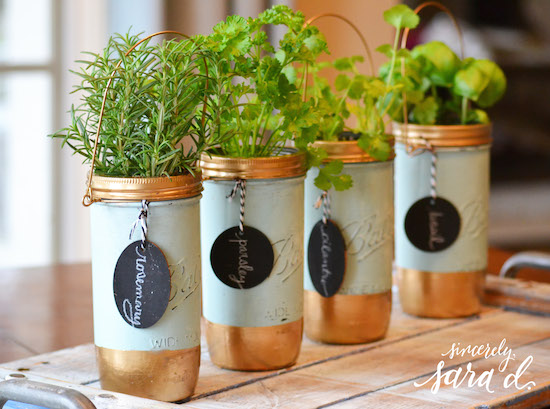 Mason-Jar-Herbs