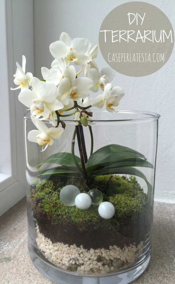 Terrario fai da te * DIY terrarium - Caseperlatesta