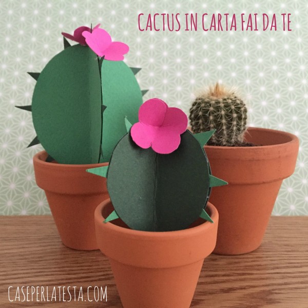Cactus_in_carta_fai_da_te