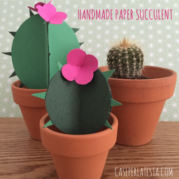 Kit di lana cardata fai da te - Cactus Ø 5 cm x 10 cm